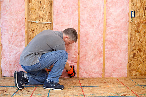 Best Specialized Insulation Services in San Juan Pistrano, CA